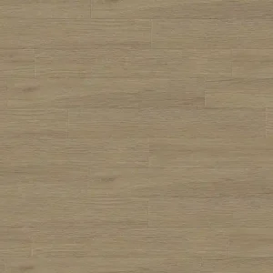 Begrenztes Angebot Creation 40 Dryback | Tamo Natural 1561